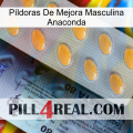 Píldoras De Mejora Masculina Anaconda 44